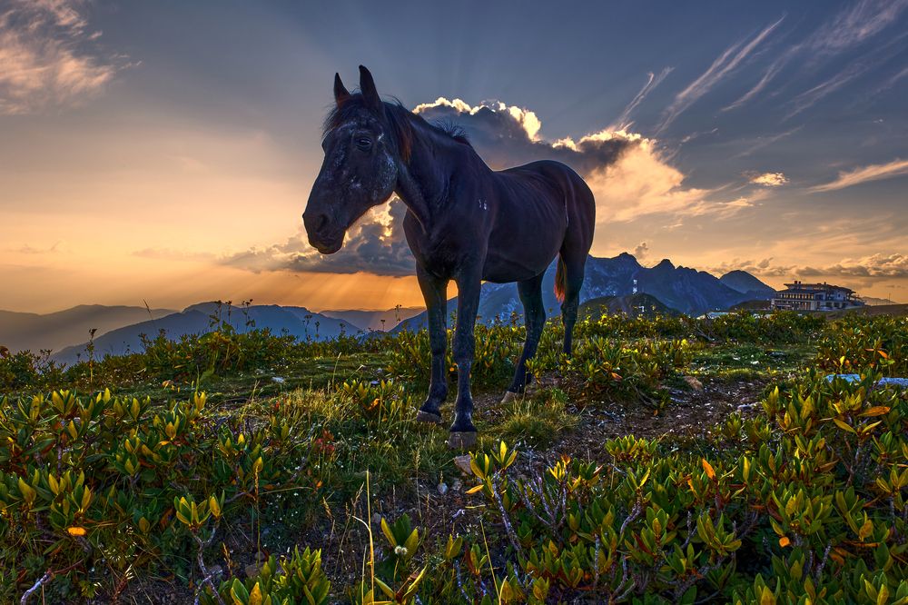Фотография автора Татьяна Полянская