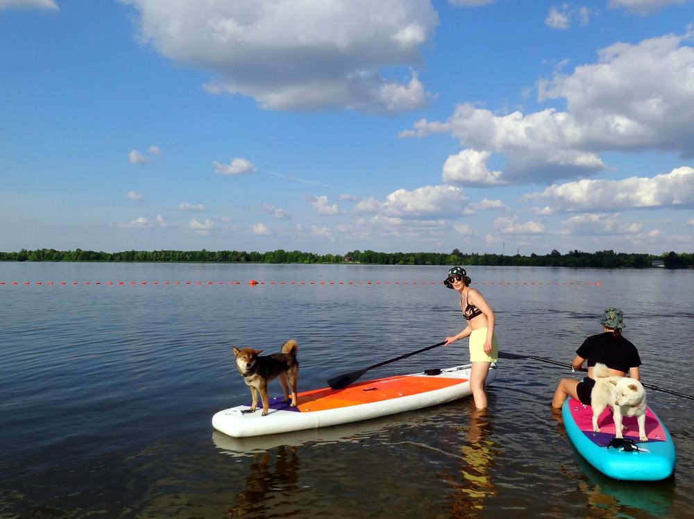 Photo #12381807