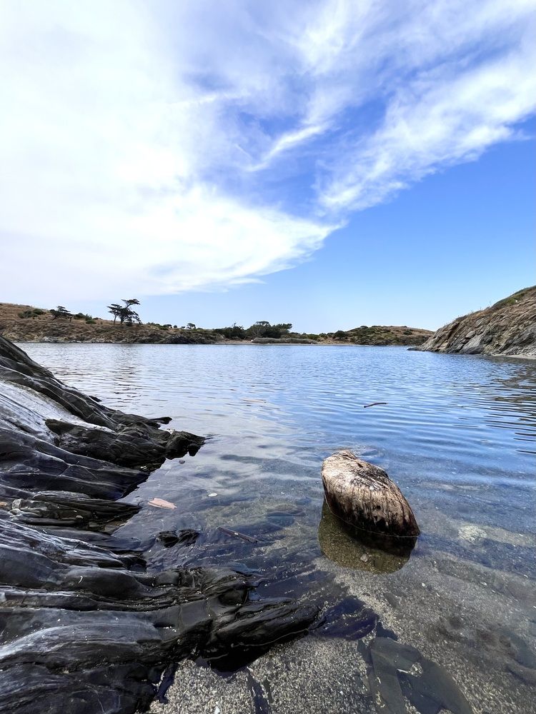 Photograph by Elena Edeleva