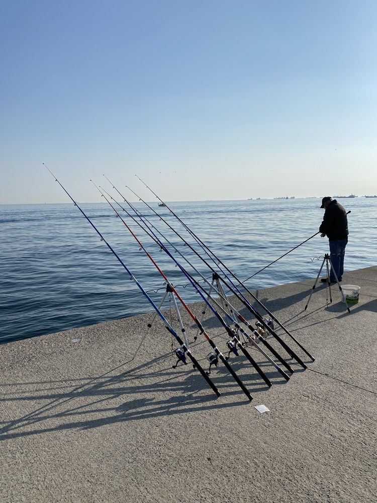 Photograph by Мария Петрова