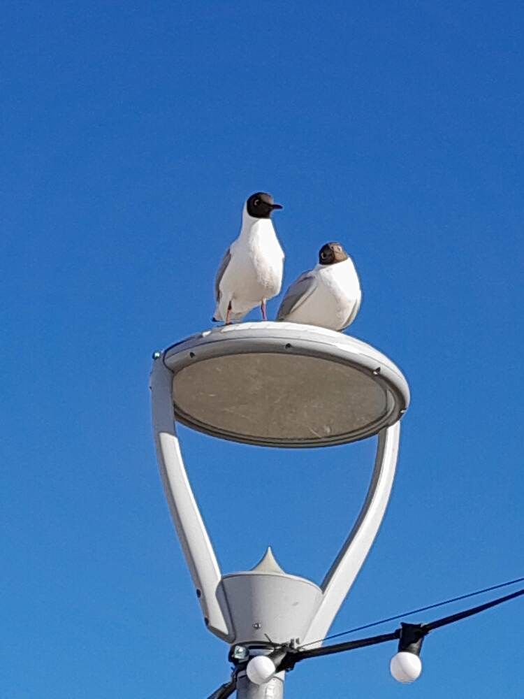 Photograph by Виталий Глазачев