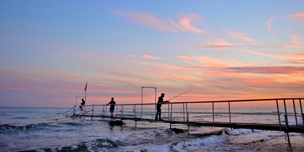 Photograph by Vladimir Shish