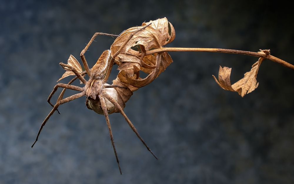 Photograph by Людмила Железнова