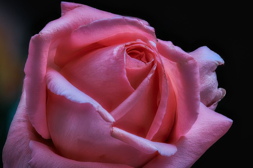 Photograph by Владимир Кваша