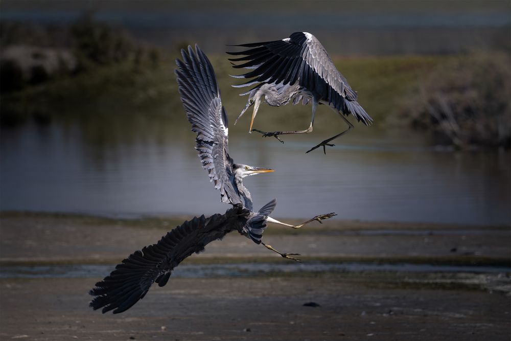 Photograph by Инна Баженова