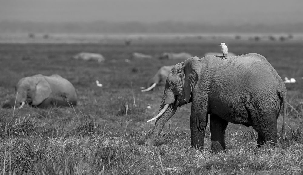 Фотография автора Анатолий Макоедов