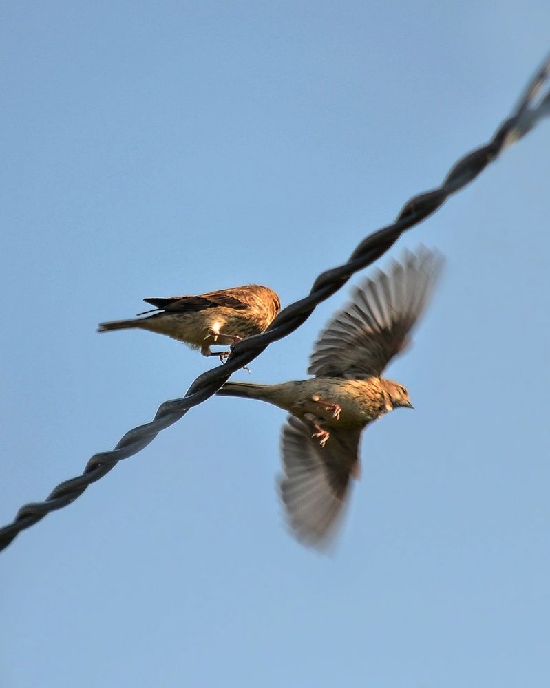 Photograph by Ольга Мокрова