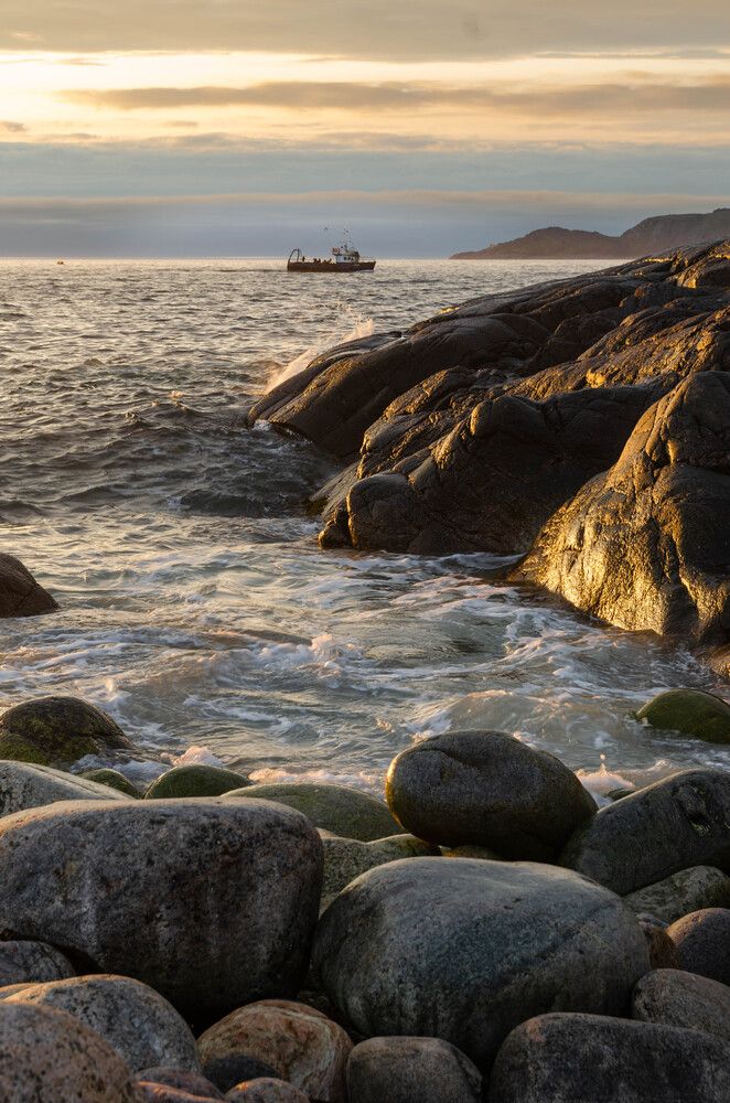 Photograph by Alexey S