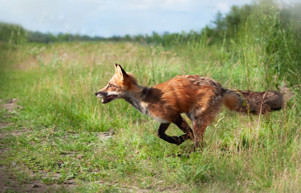 Photograph by Елена Иванова