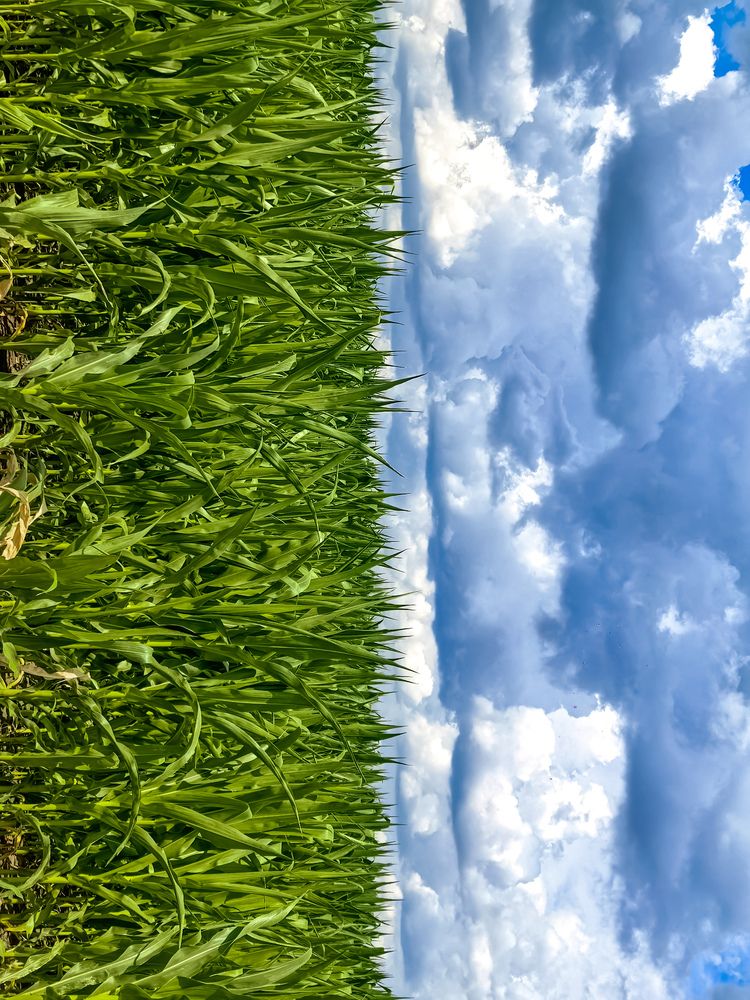 Фотография автора Наталья Асоскова