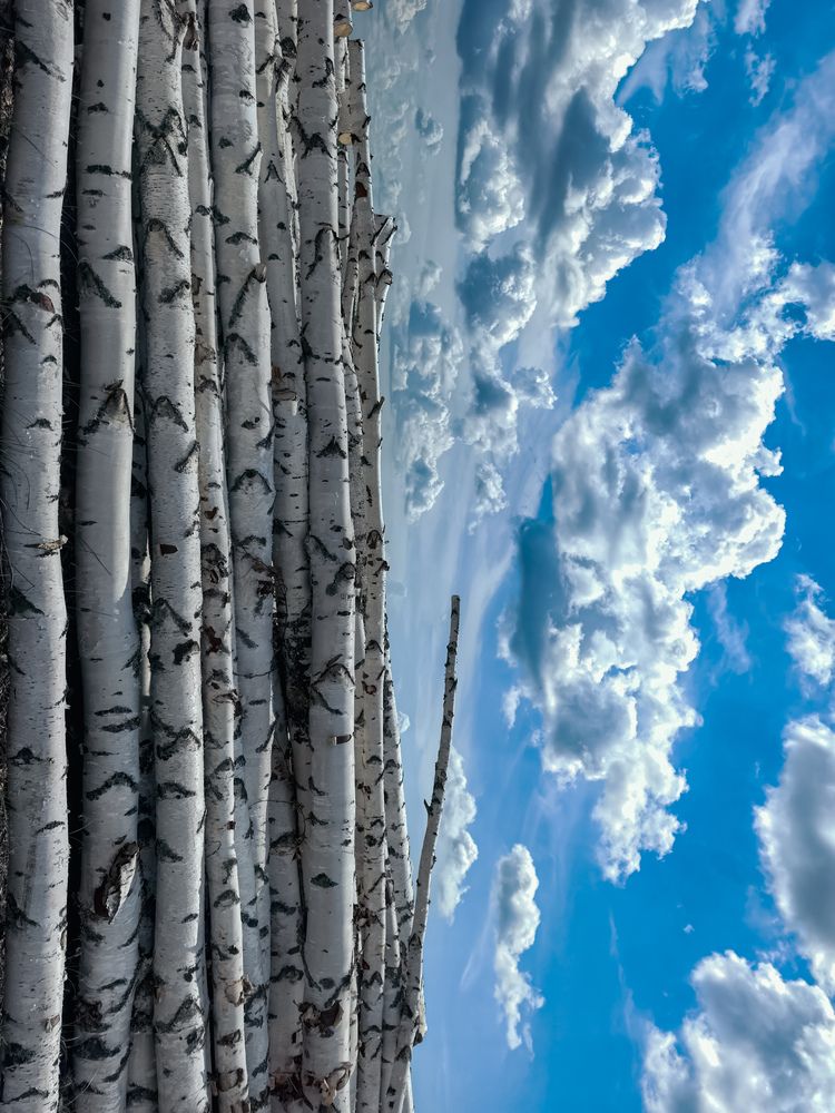 Фотография автора Наталья Асоскова