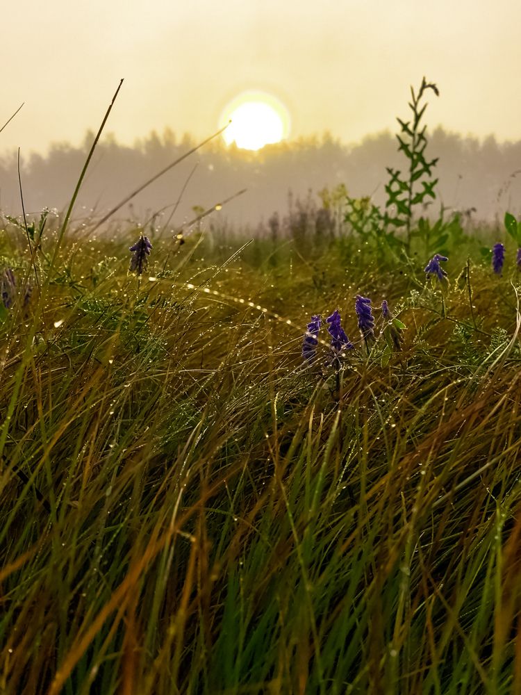 Photograph by Наталья Асоскова