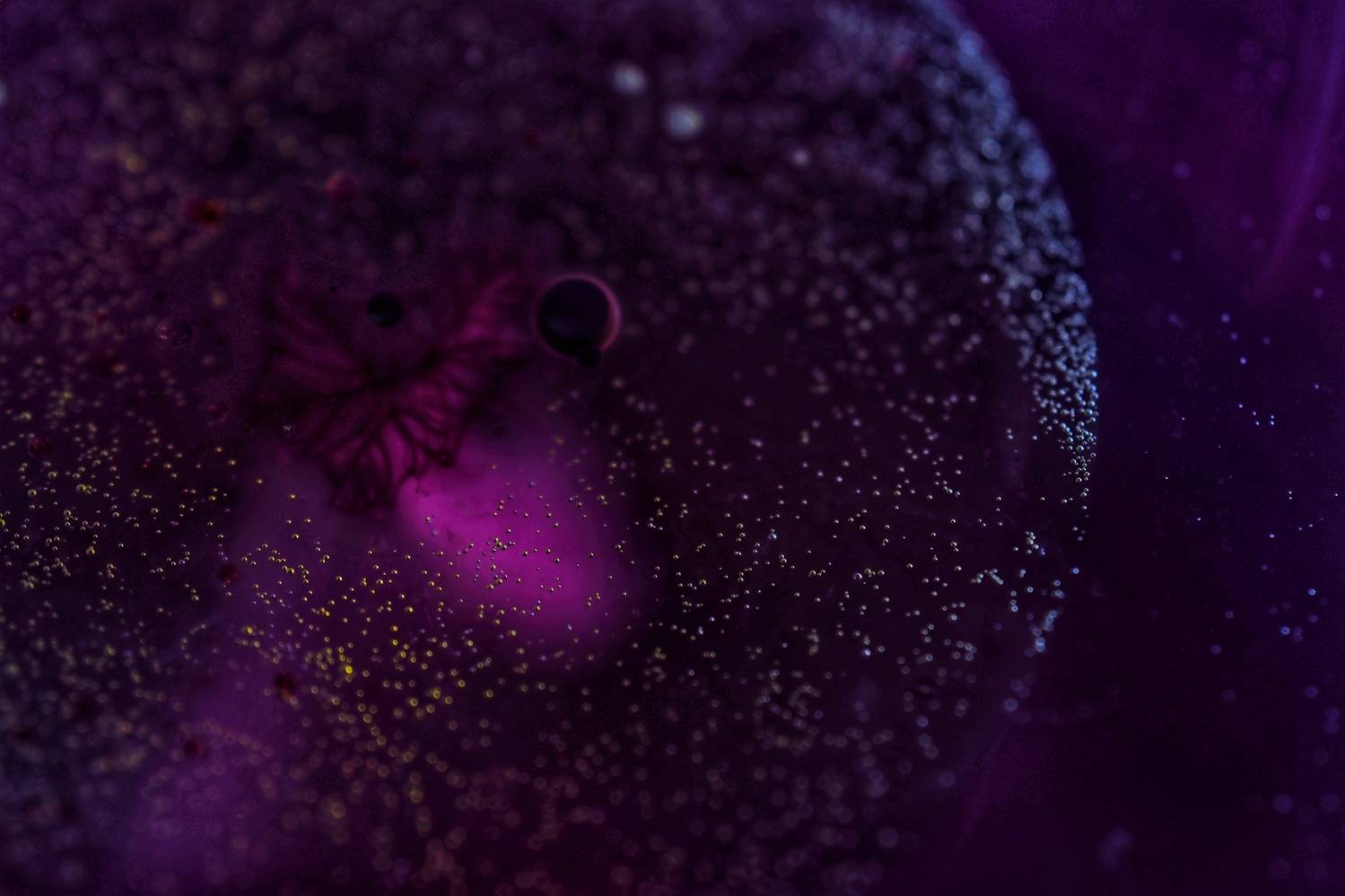 Macro universe