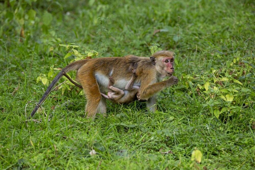 Photograph by Игорь Селин