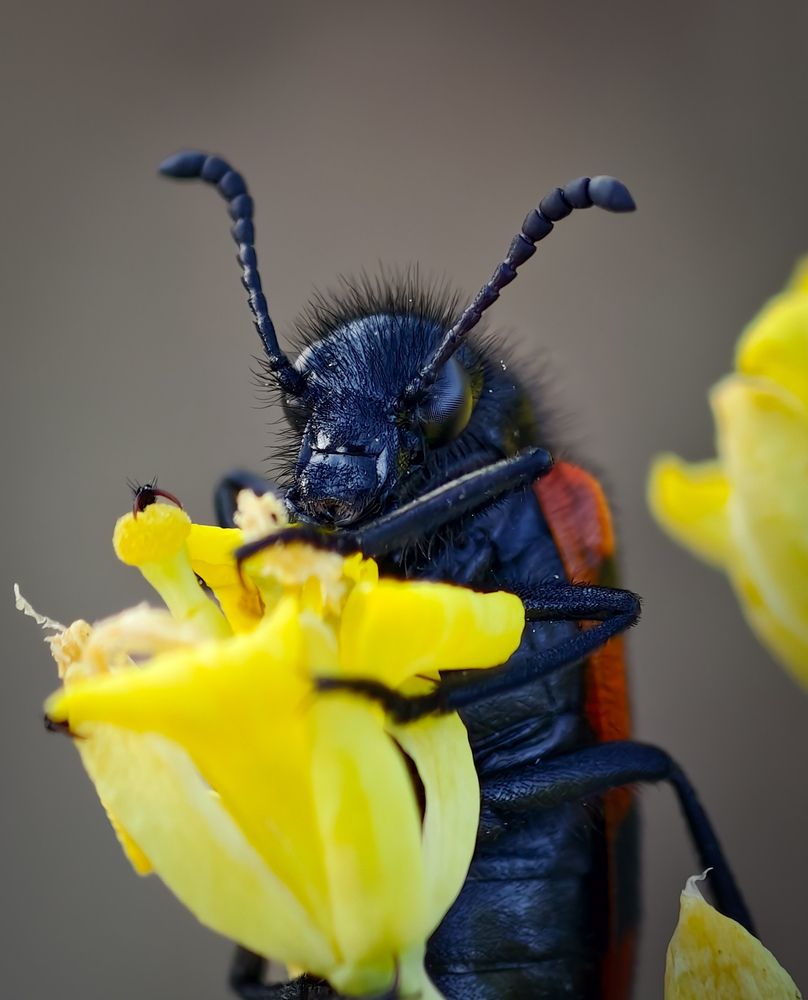 Photograph by Михаил Саидов