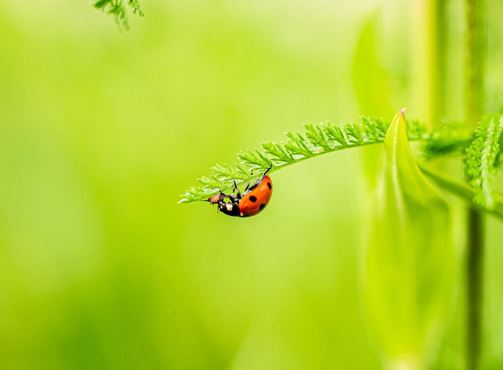 Photograph by Tanzilya Gabidullina