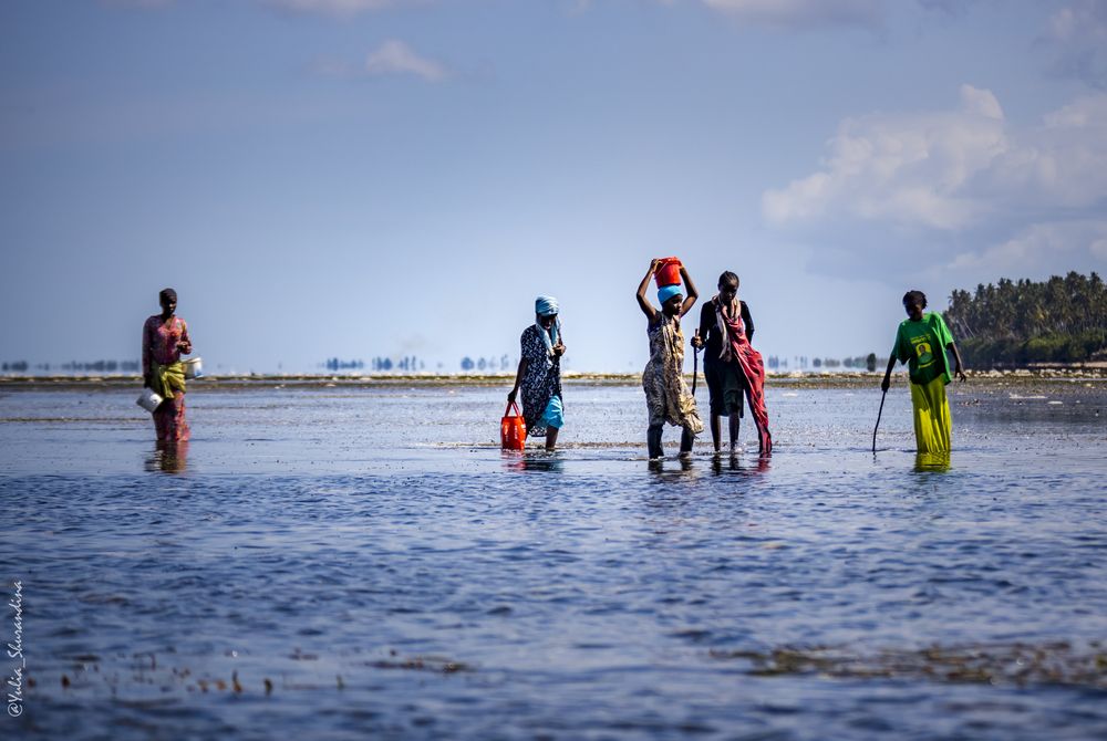 Photograph by Юлия Шурандина