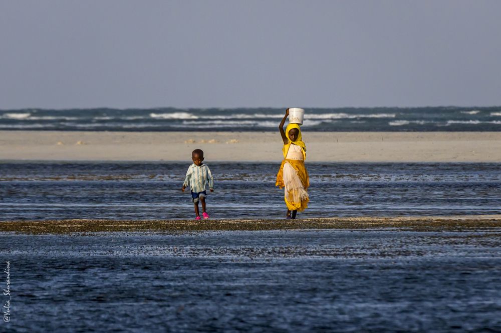 Photograph by Юлия Шурандина