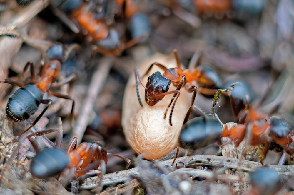 Photograph by Михаил Косолапов