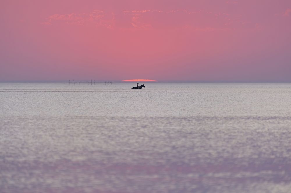 Photograph by Михаил Косолапов