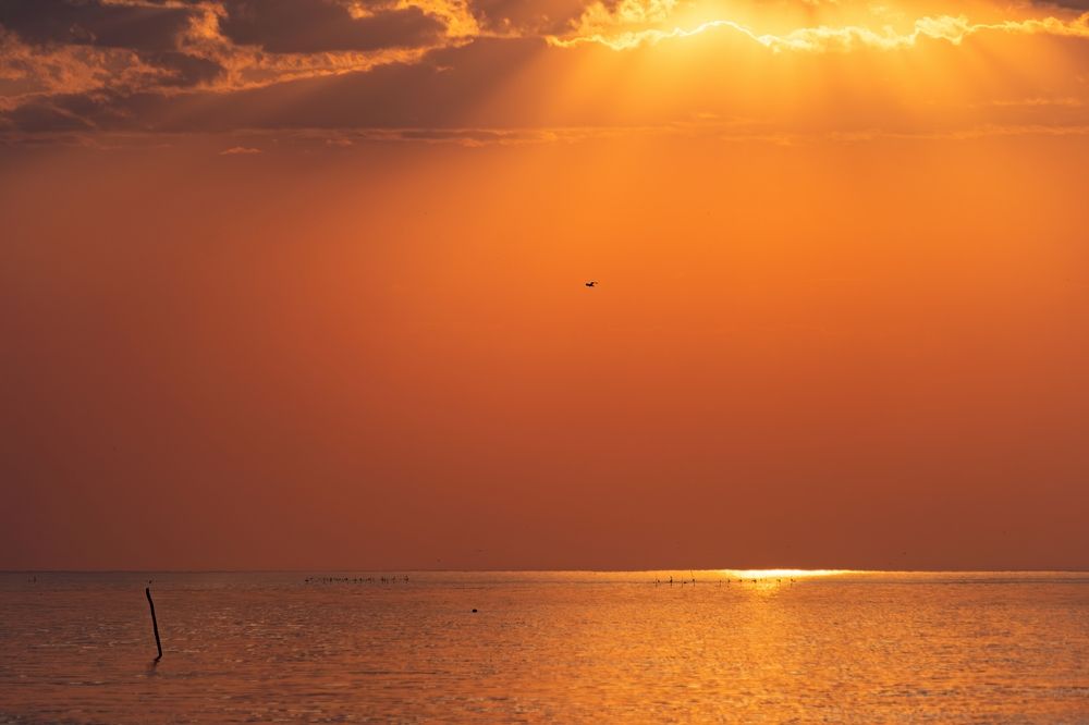 Photograph by Михаил Косолапов