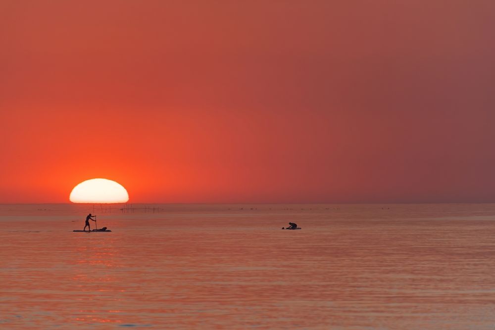 Photograph by Михаил Косолапов