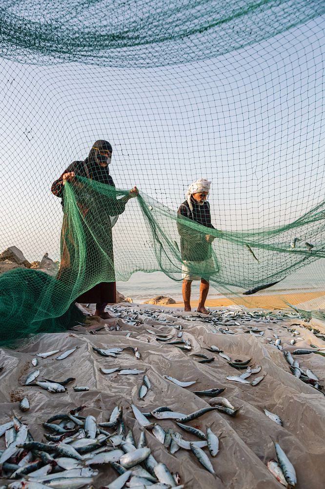 Фотография автора Ebrahim Rahiminezhad