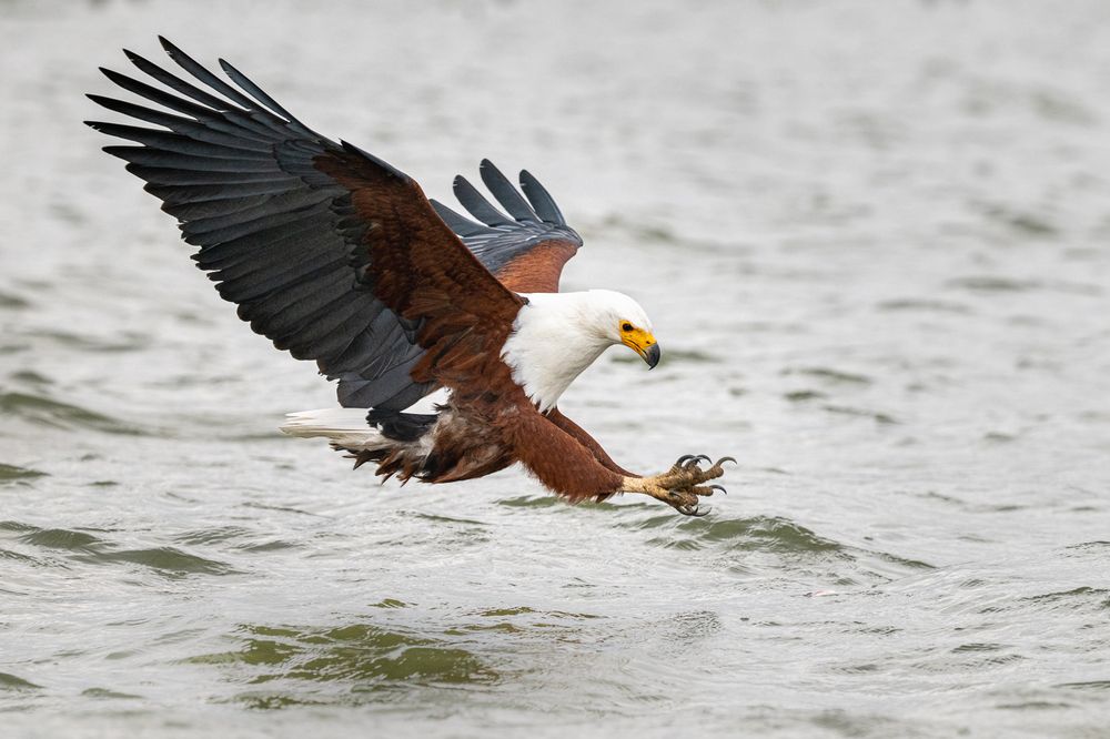 Photograph by Nikolay Slutskiy