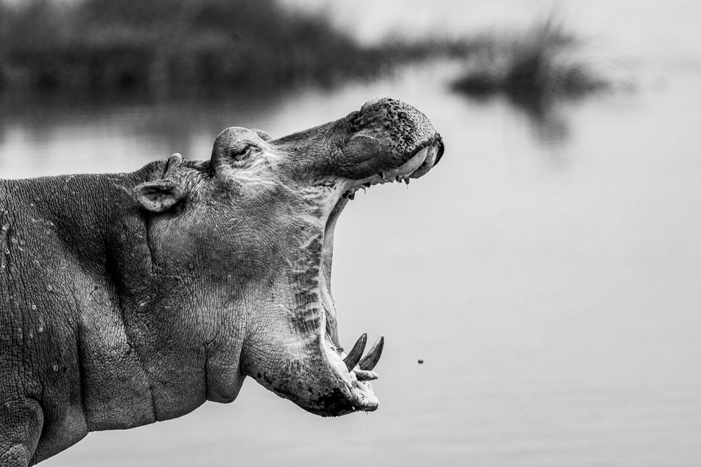 Photograph by Nikolay Slutskiy