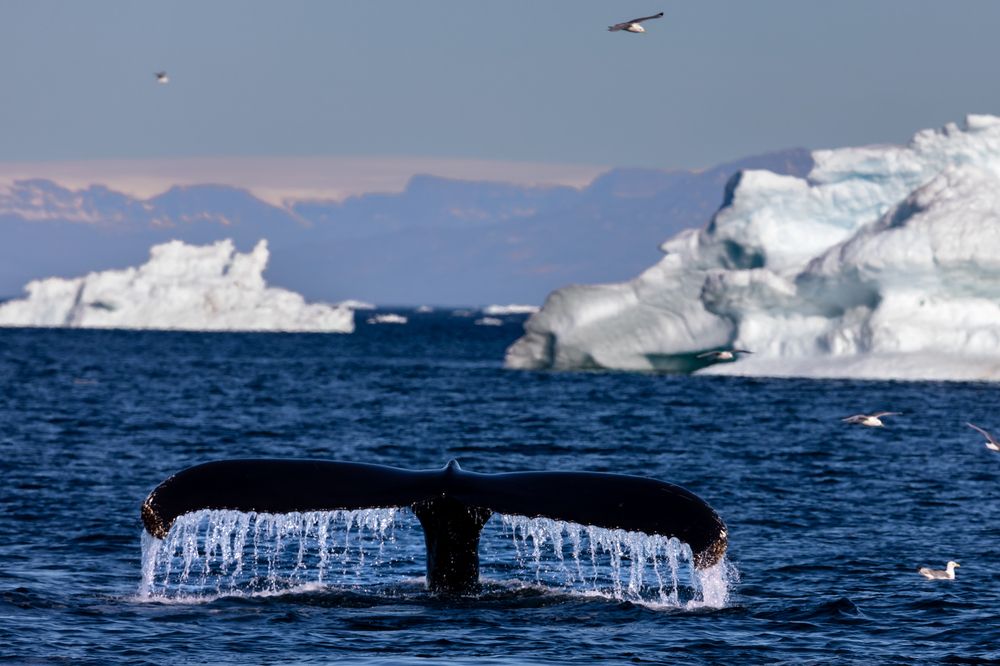 Photograph by Евгения Чех