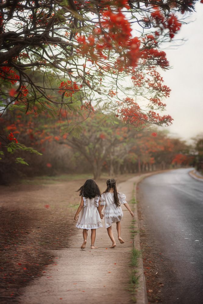 Photograph by ALMIR SILVA