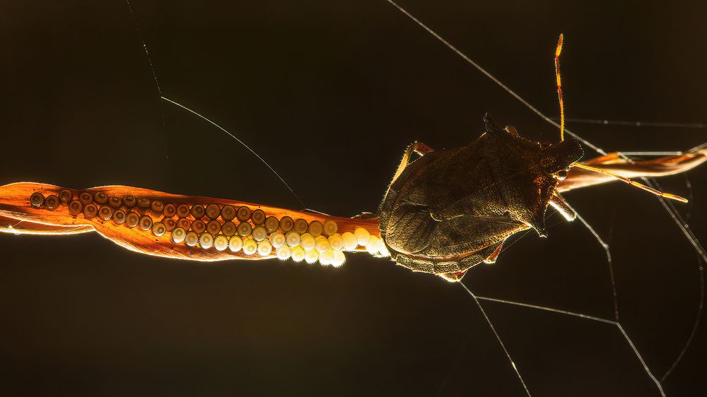 Photograph by Li Chen-You