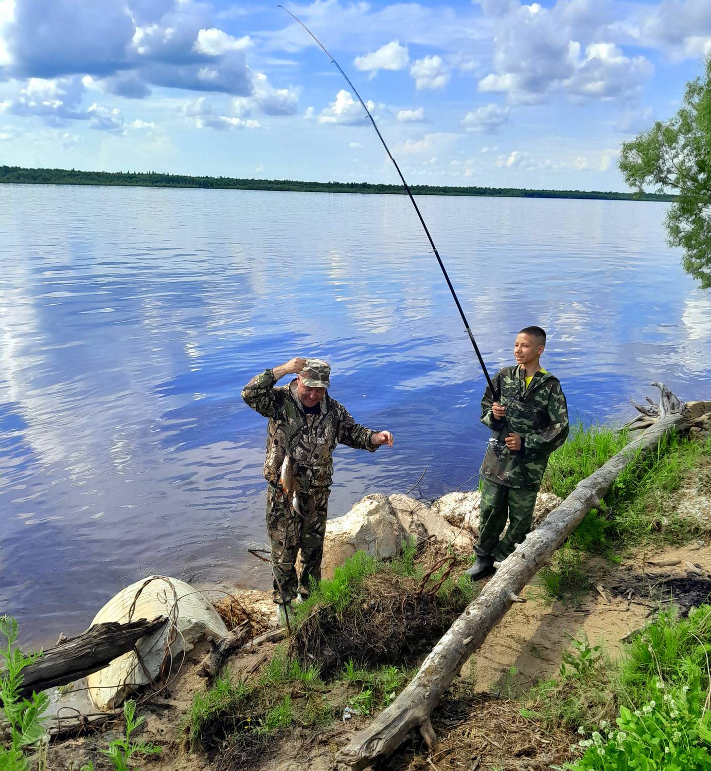 Photo #12382610