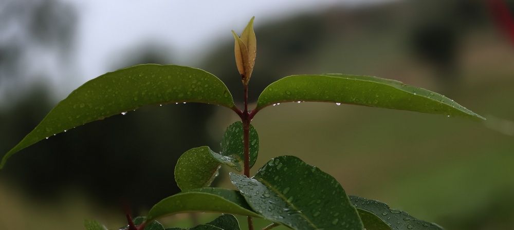 Photo #12382619