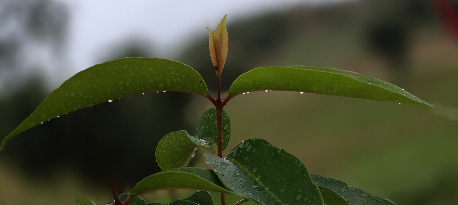 Photo #12382619