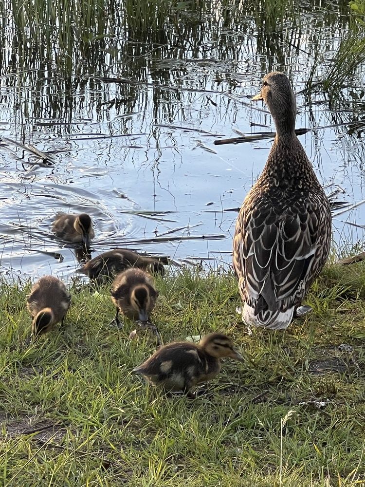 Photograph by Александра Акси