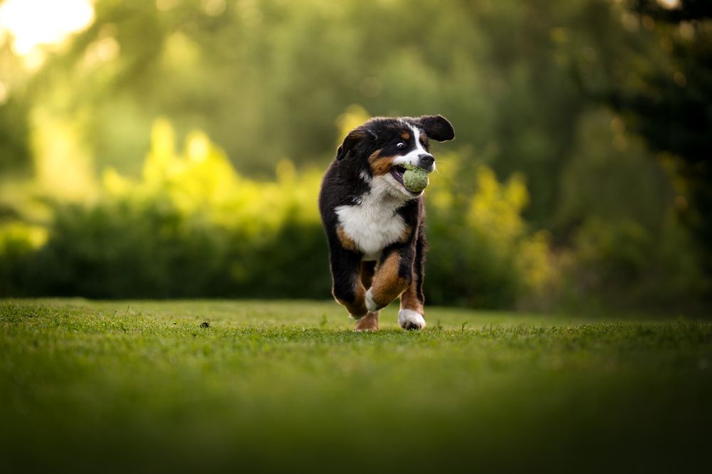 Фотография автора Klára Brůnová