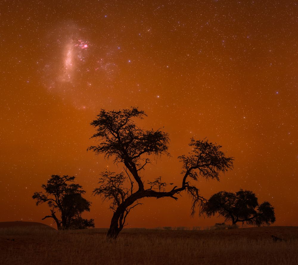 LMC in sodium airglow