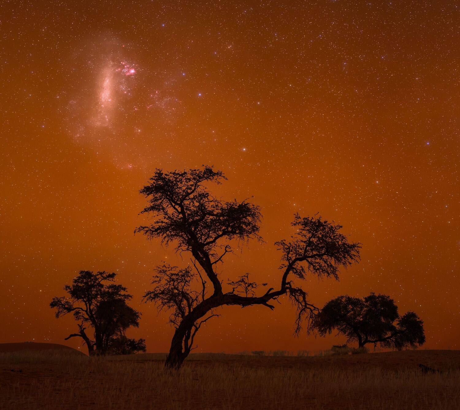 LMC in sodium airglow