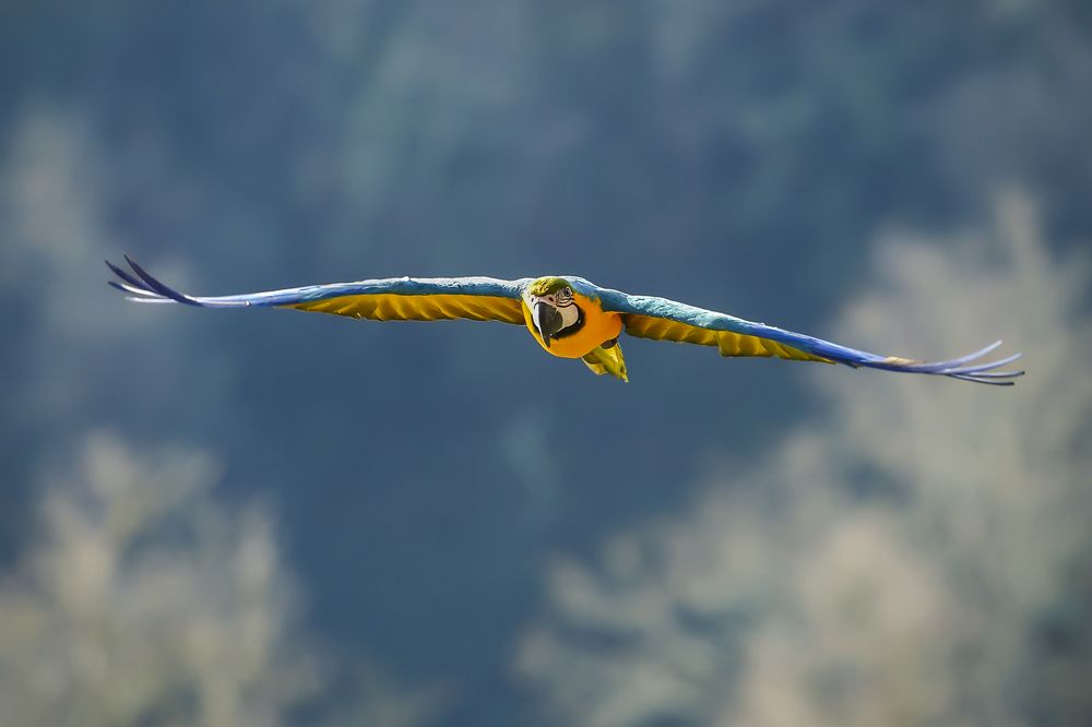 Photograph by Alessandro Grandoni