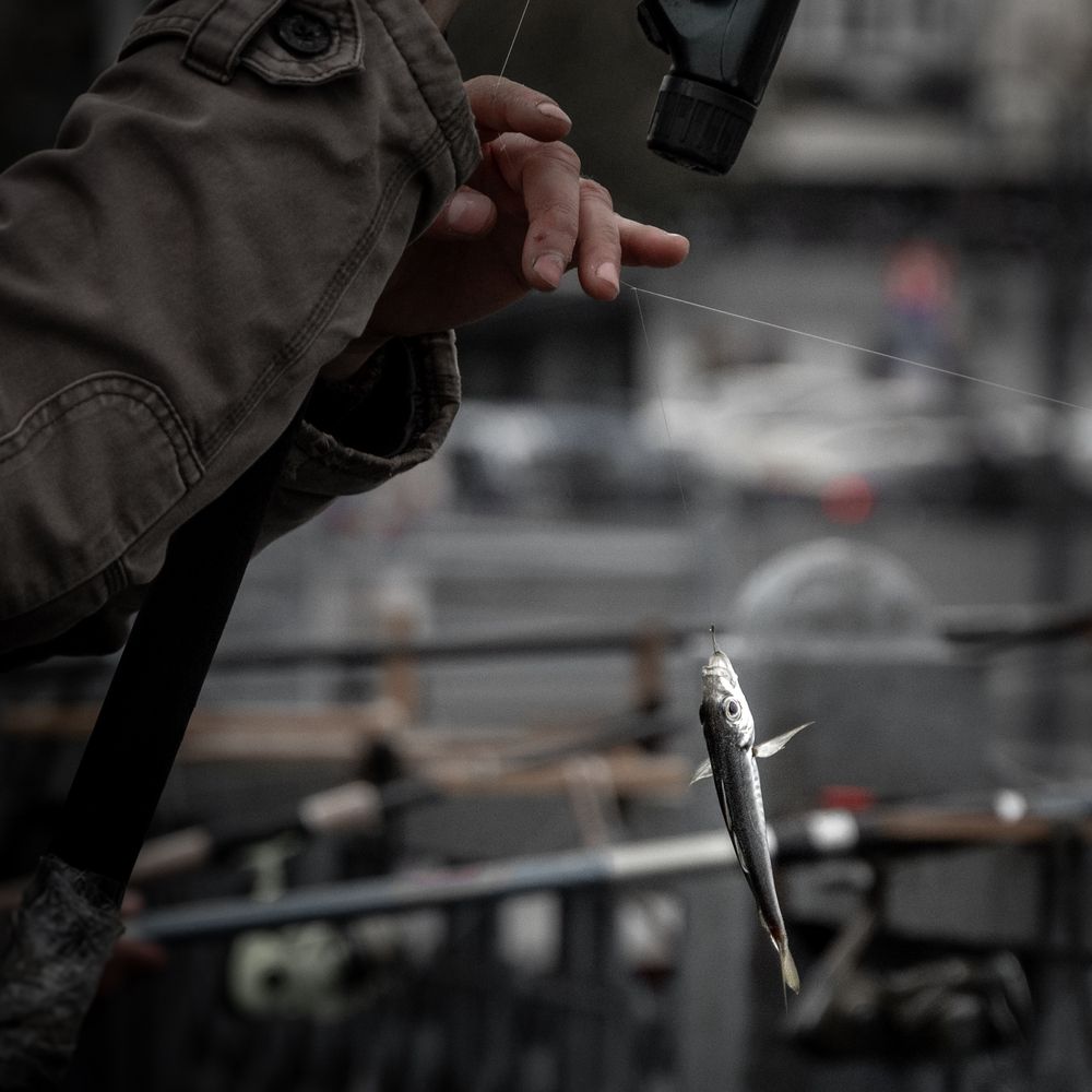 Photograph by Анна Стрелковская