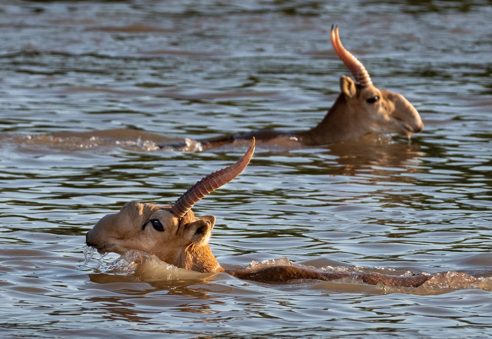 Photograph by Анна Стрелковская