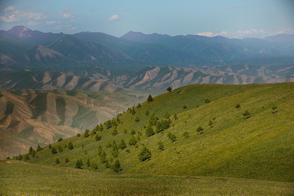 Photograph by Абашкин Сергей