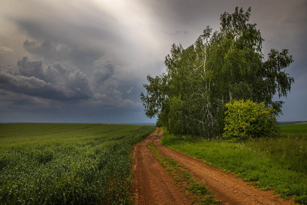 Photograph by Абашкин Сергей