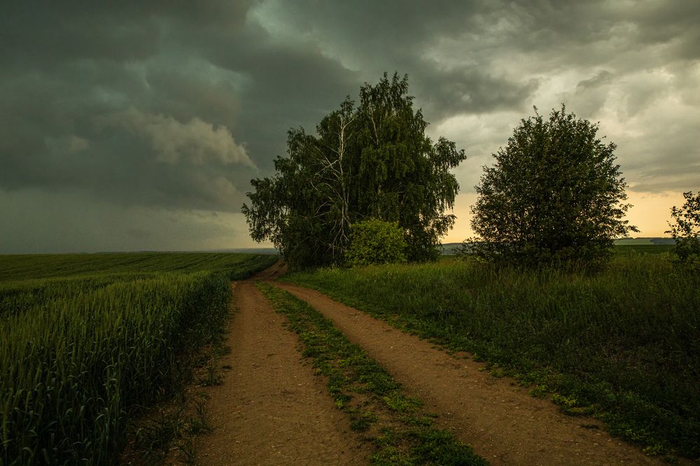 Photograph by Абашкин Сергей