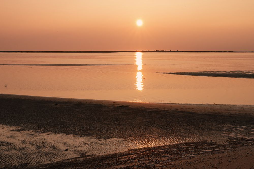 Фотография автора Ирина Гриценко