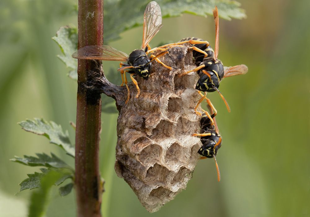 Photograph by Кузнецов Дмитрий
