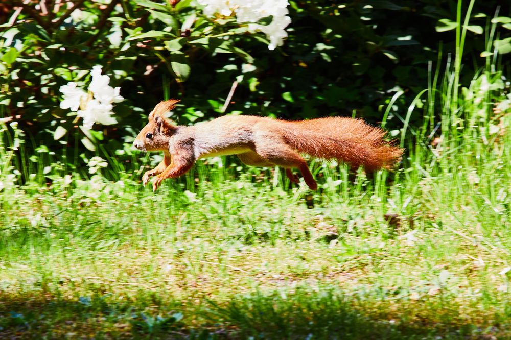 Photograph by Анастасия Васина