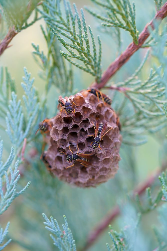 Photograph by Кузнецов Дмитрий