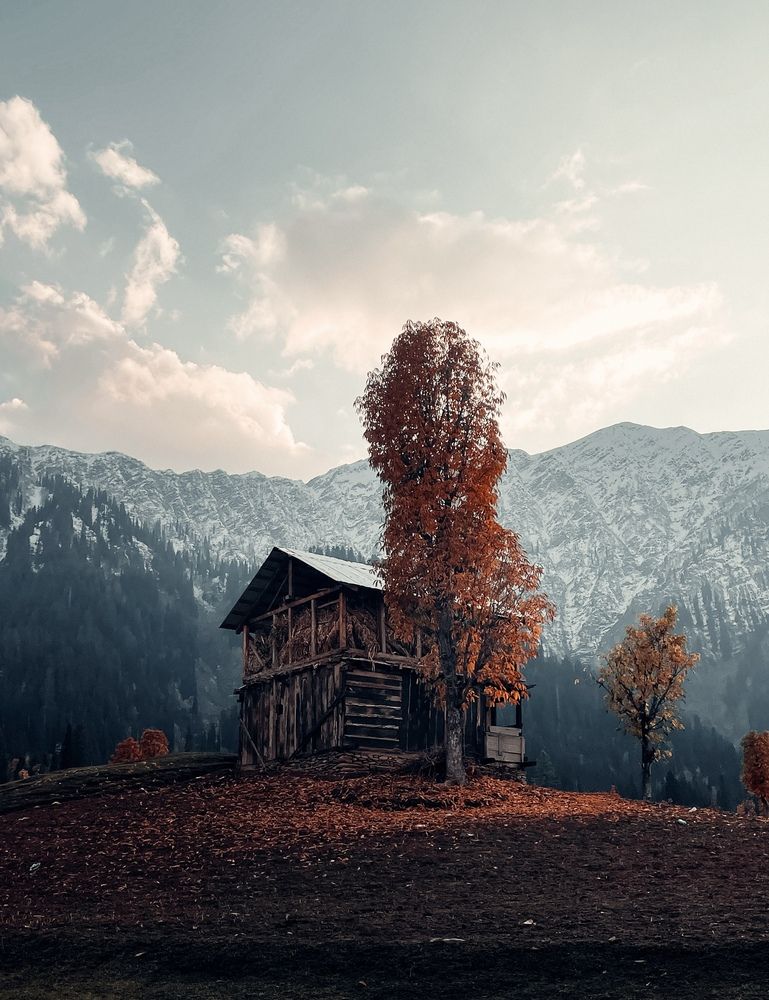 The Last Ember of Fall